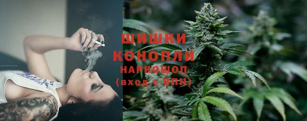 трава Богородицк